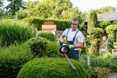 Landscape Pruning Service