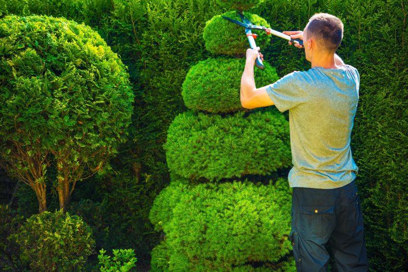 Pruning Techniques